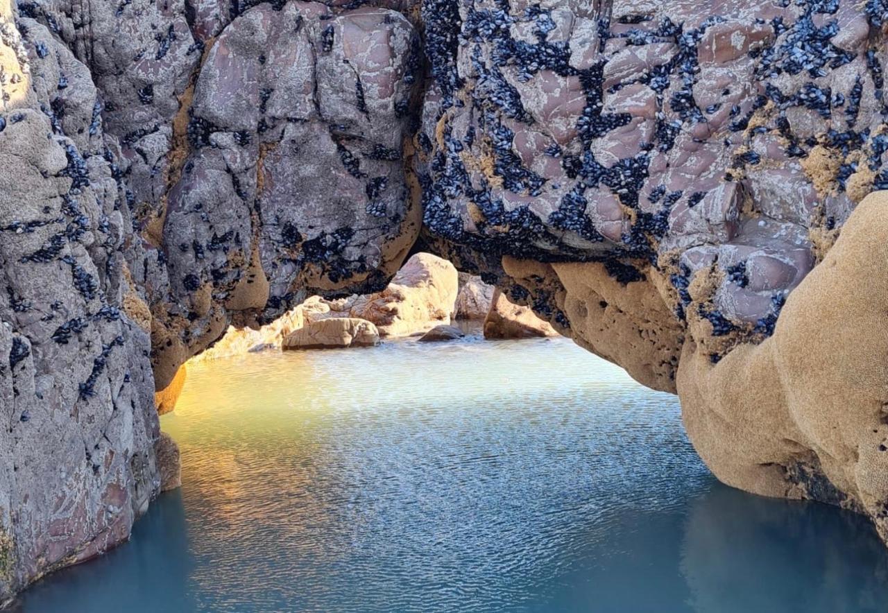 Rockpool - Bude Luaran gambar